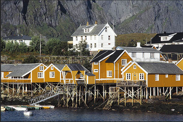Moskenosoya island, rorbu near the town of Reine. In summer the rorbu are rented by tourists on vacation in the archipelago Moskenosoya island, rorbu near the town of Reine. In summer the rorbu are rented by tourists on vacation in the archipelago