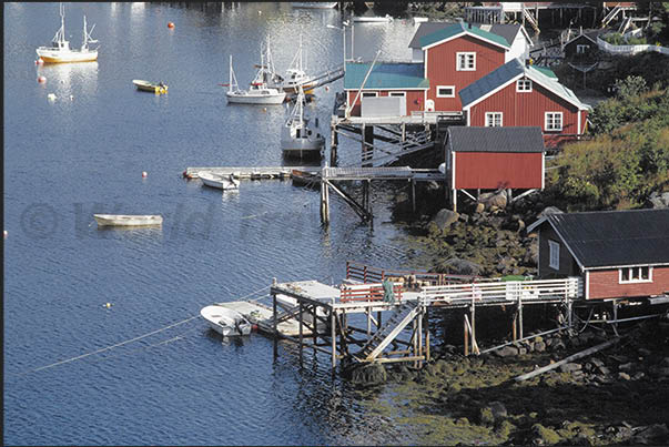 The villages are all the same, rorbu, warehouses and, anchored or moored under the house, the ubiquitous fishing boats