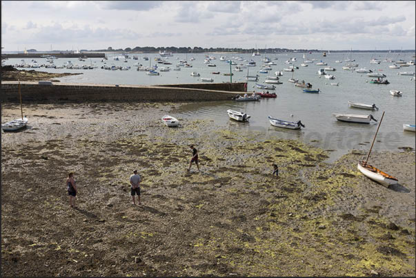 Navalo port during low tide