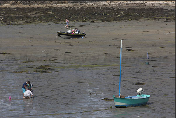 Navalo port during low tide