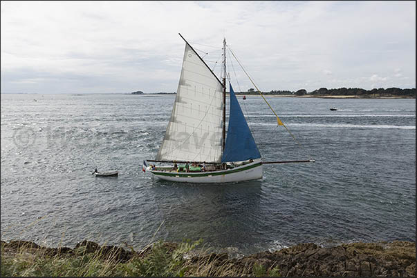 Typical Breton sailing boat with wooden hull at the entrance of the gulf Typical Breton sailing boat with wooden hull at the entrance of the gulf