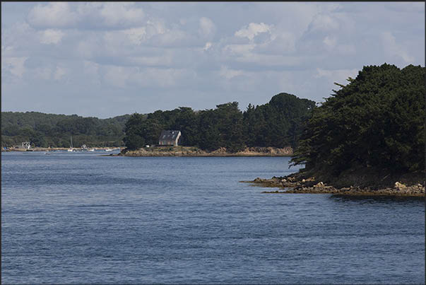 Along the coast there are several paths that allow you to visit the most hidden corners of the gulf