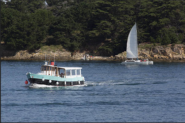 Reproduction of an old tourist service steamboat in the inland waters of the gulf