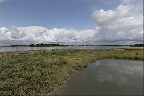 Path from Lasné to Le Hézo along the marshy area with pools of water that fill and empty with the tide