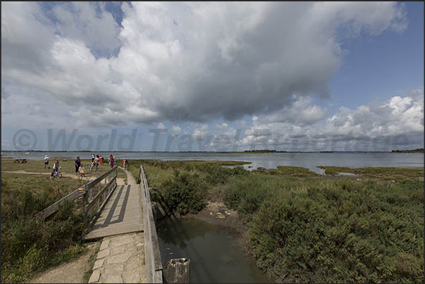 Path from Lasné to Le Hézo along the marshy area with pools of water that fill and empty with the tide Path from Lasné to Le Hézo along the marshy area with pools of water that fill and empty with the tide
