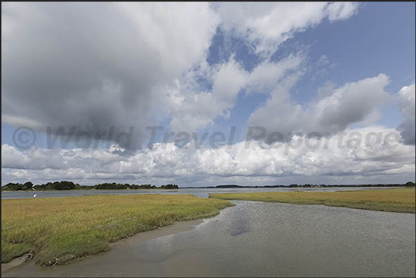 Path from Lasné to Le Hézo along the marshy area with pools of water that fill and empty with the tide