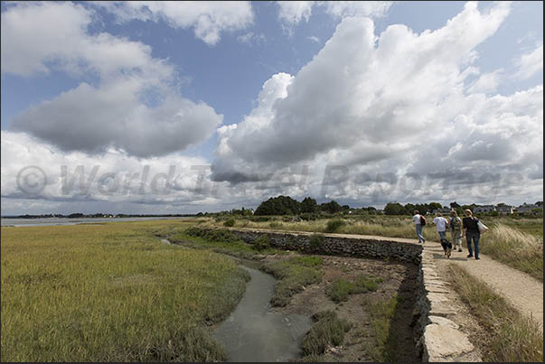 Path from Lasné to Le Hézo along the marshy area with pools of water that fill and empty with the tide