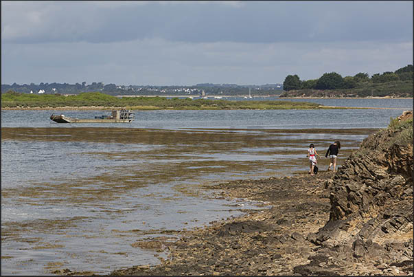 Path from Lasné to Le Hézo along the marshy area with pools of water that fill and empty with the tide near Saint Armel