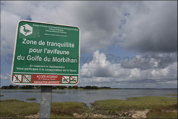 Along the paths it is easy to meet people intent to observing the numerous migratory birds that nest in the marshes