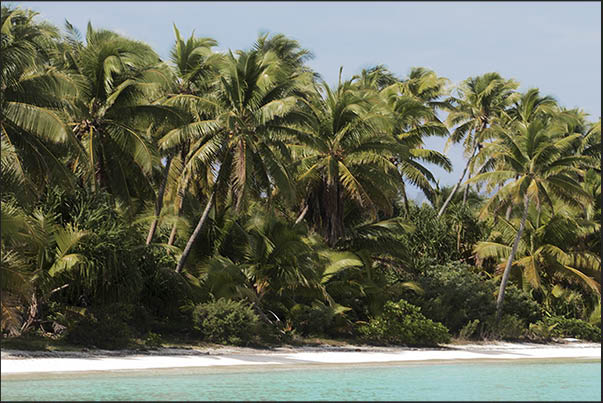 Inside the lagoon there are dozens of uninhabited islands covered by dense tropical vegetation Inside the lagoon there are dozens of uninhabited islands covered by dense tropical vegetation
