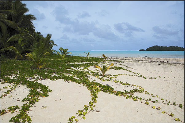 Wherever you look, the calm waters of the lagoon dominate the landscape