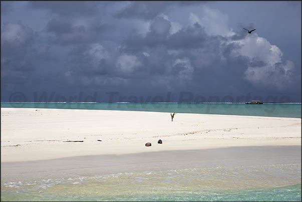 In the lagoon there are sand banks of very fine sand which emerge during low tide