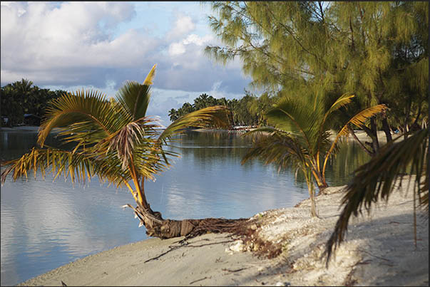 Some islands have canals sometimes crossed by small ferries that reach hotels far from the capital