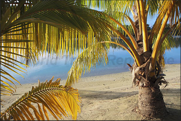 At sunset the vegetation takes on bright colors that leave visitors surprised and amazed