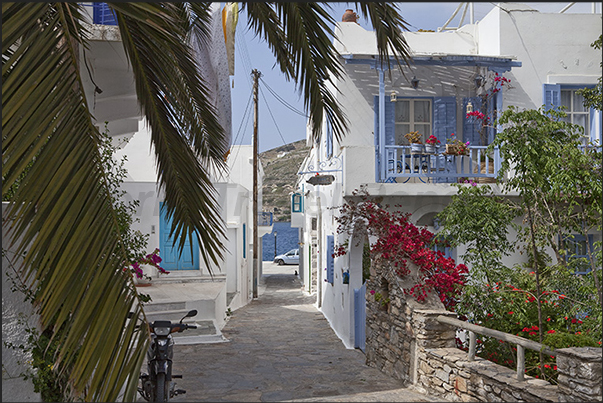 Streets in the town of Katapola (south west coast) Streets in the town of Katapola (south west coast)