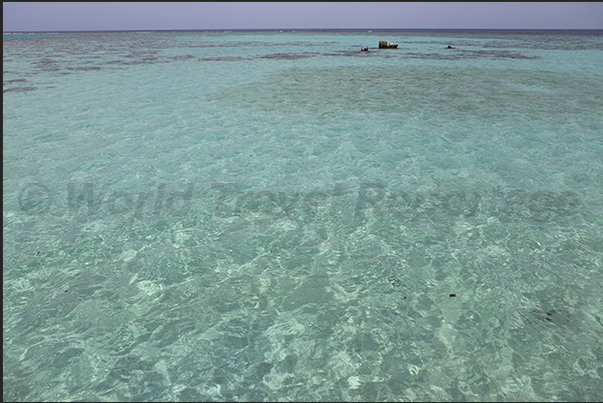 The large lagoon inside Sanganeb reef The large lagoon inside Sanganeb reef
