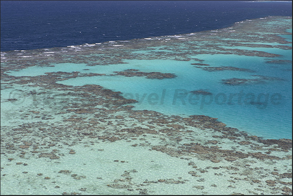 The spectacular lagoon of Sanganeb coral shelf