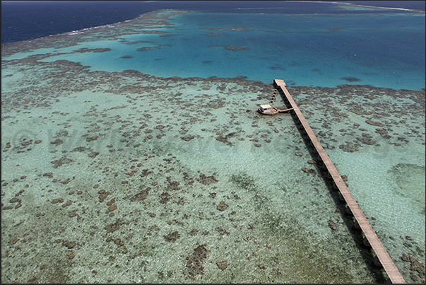 The pier that connects the lagoon to the Sanganeb lighthouse