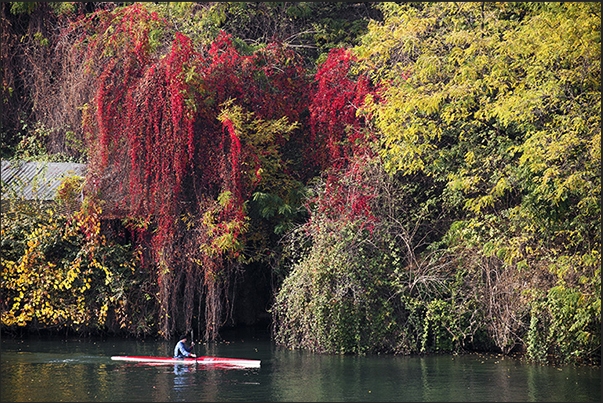 Autumn colors on the banks of Po river along Valentino Park