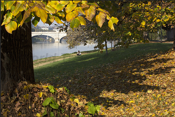 A moment of rest along the banks of Po river near the Umberto I bridge