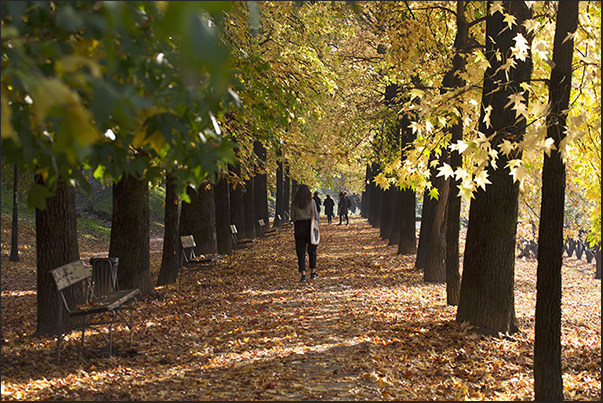 Autumn walk along Po river between Umberto I bridge and Isabella bridge