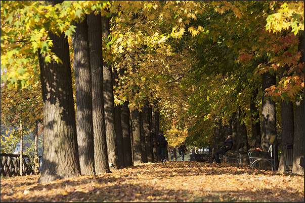 Autumn colors on the promenade in front of the University of Architecture