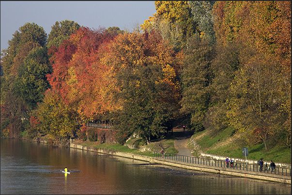 Autumn on the banks of the Po river Autumn on the banks of the Po river