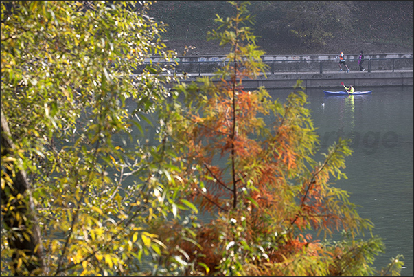 By kayak along the Po river in the city center