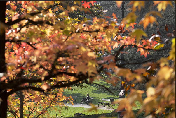 Autumn glimpses in Valentino Park Autumn glimpses in Valentino Park