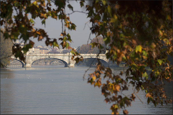Umberto I bridge among the colors of autumn Umberto I bridge among the colors of autumn