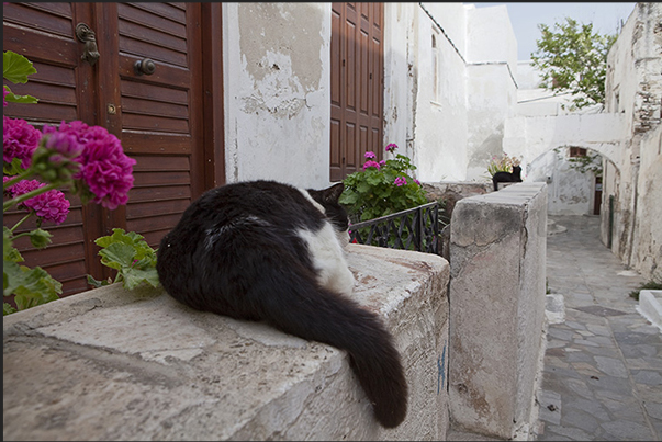 Quiet alleys in the old town of Naxos (Hora) around the ancient Venetian fortress