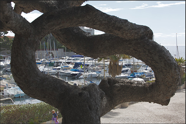 The small port of Les Fourmis in the Beaulieu village The small port of Les Fourmis in the Beaulieu village