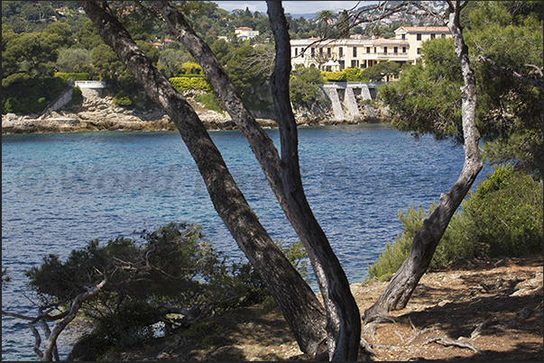 Coastal path that from the village of Saint Jean runs along the Cap Ferrat peninsula Coastal path that from the village of Saint Jean runs along the Cap Ferrat peninsula