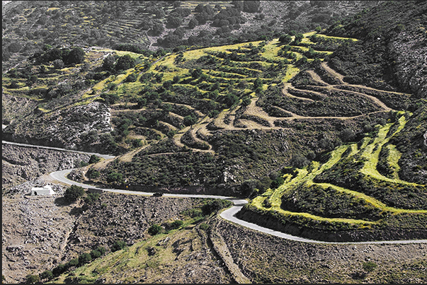 Winding mountain roads reach the terraced crops in the center of the island Winding mountain roads reach the terraced crops in the center of the island