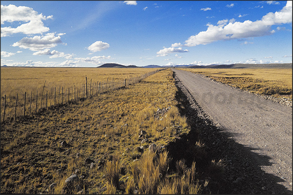 The road that crossing the plateau of Meseta del Bombon The road that crossing the plateau of Meseta del Bombon