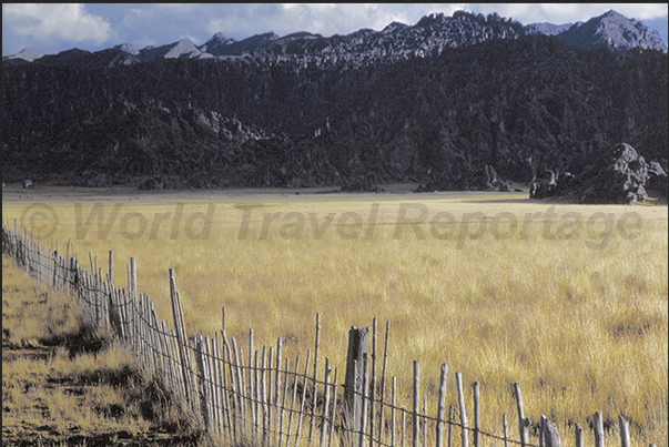 The mountains of the National Park that characterize the Sanctuary of the Bosque de Piedra The mountains of the National Park that characterize the Sanctuary of the Bosque de Piedra