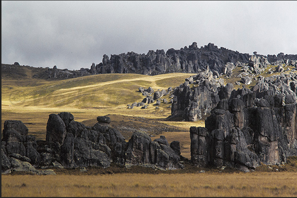 The Bosque de Pietras is a continuous alternation of high vertical rocks such as monoliths and verdant valleys The Bosque de Pietras is a continuous alternation of high vertical rocks such as monoliths and verdant valleys