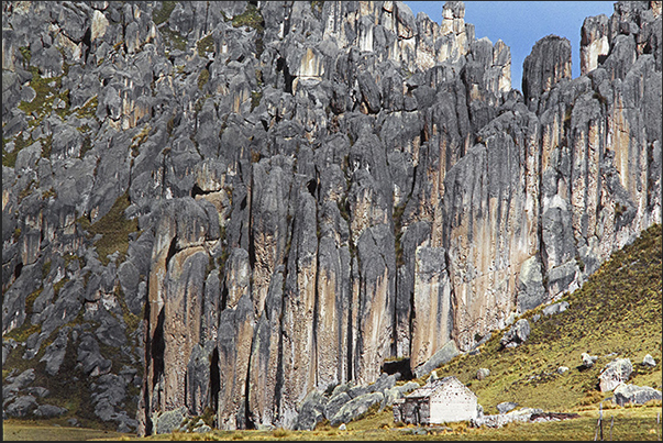 Located at over 4000 meters above sea level, an area of 7000 hectares, the stone forest can be fully visited Located at over 4000 meters above sea level, an area of 7000 hectares, the stone forest can be fully visited