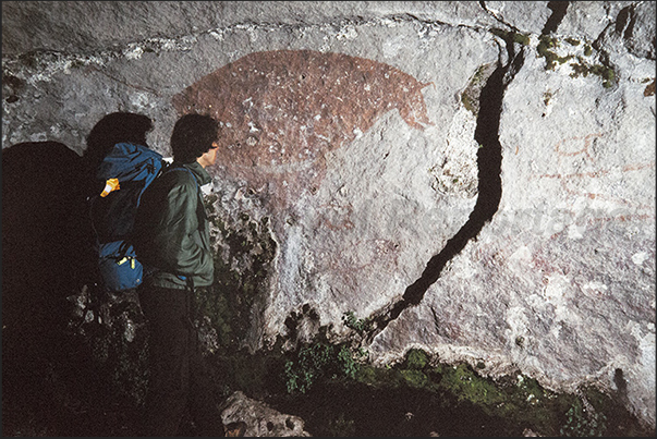 Several cave paintings appear in the ravines of the park