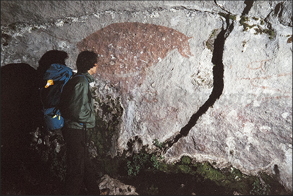 Several cave paintings appear in the ravines of the park Several cave paintings appear in the ravines of the park