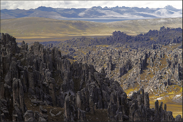 The Meseta with the Cordillera de Huayhuash on the horizon