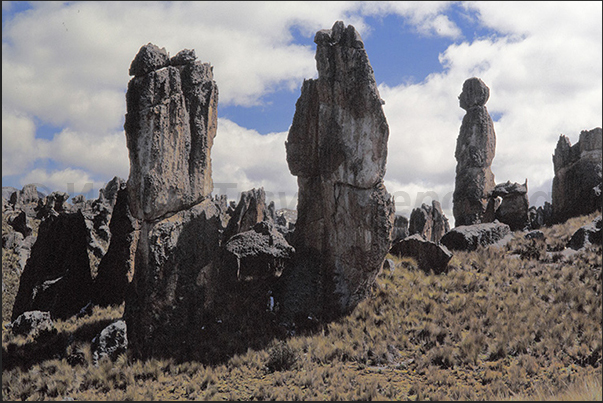 Some rock formations look like sculptures but they are natural result of the action of water and wind Some rock formations look like sculptures but they are natural result of the action of water and wind