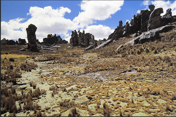 The horizon is littered with rock formations that resemble ancient guardians watching visitors