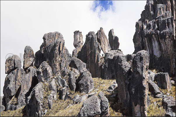 It is easy to get lost in the narrow valleys that characterize the park, creating petrified labyrinths