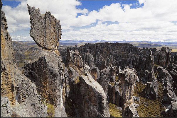 It is easy to get lost in the narrow valleys that characterize the park, creating petrified labyrinths