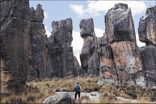 Rock guardians seem to be watching the visitors Rock guardians seem to be watching the visitors