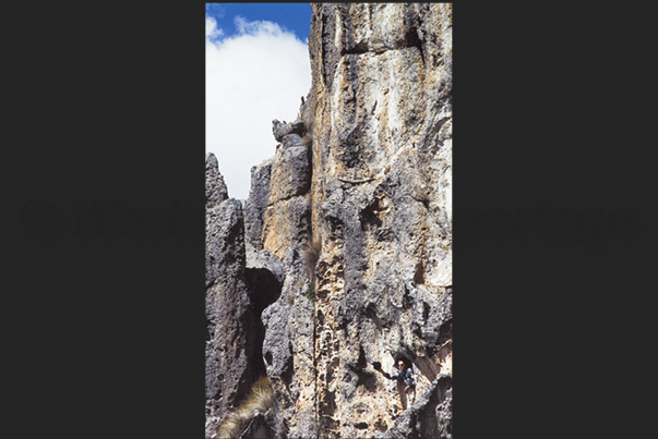 Bottom right, the guide leans out of a window in the rock face, waving his hat to be seen