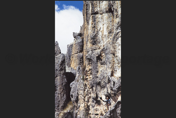 Bottom right, the guide leans out of a window in the rock face, waving his hat to be seen Bottom right, the guide leans out of a window in the rock face, waving his hat to be seen