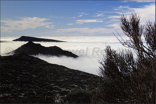 Rocky peaks along the west coast emerge from the sea of clouds that cover the ocean