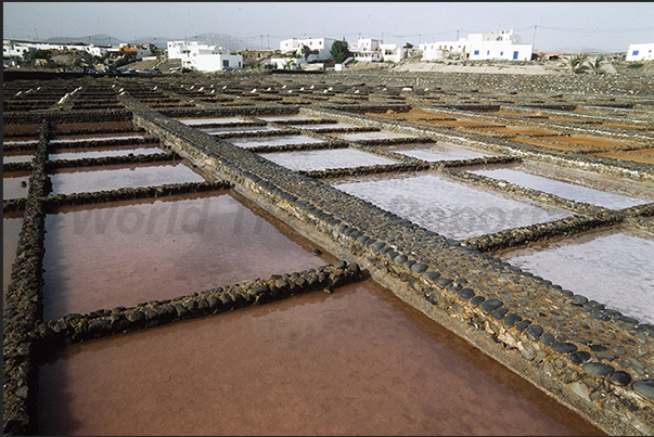 Las Salinas del Carmen, east coast Las Salinas del Carmen, east coast